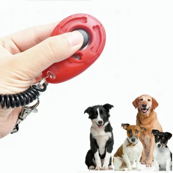 Dog walkers bundle includes multifunction pouch, lead, drinking bowl, clicker and carabiners - Image 3