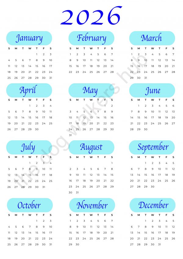 Blue style quick glance 2026 Calendar