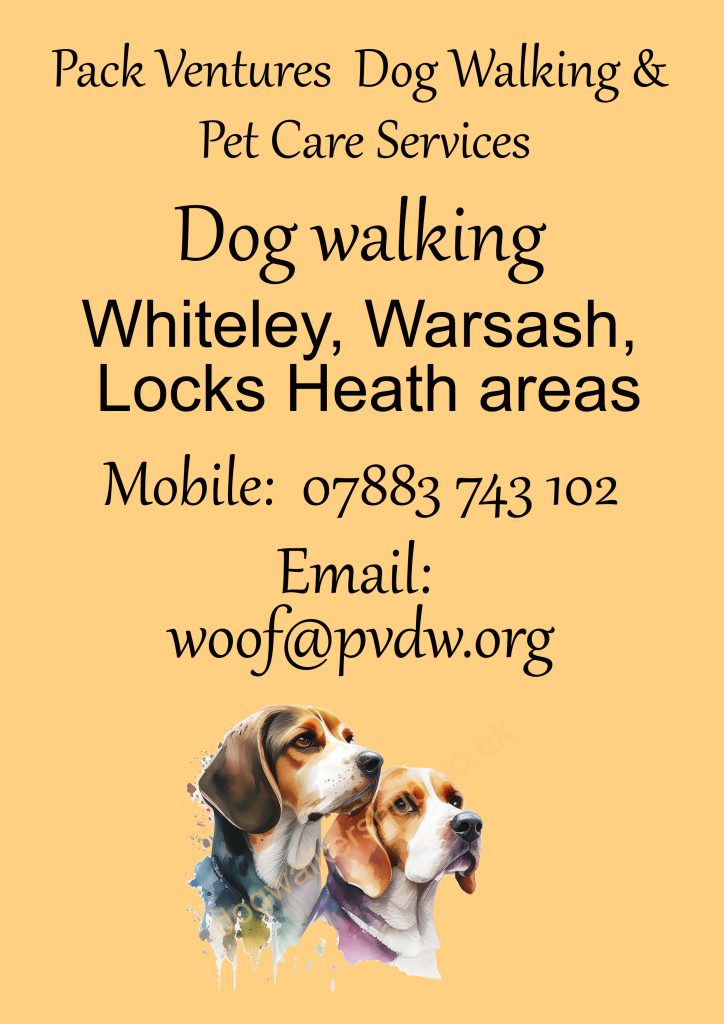 dog walkers in hampshire