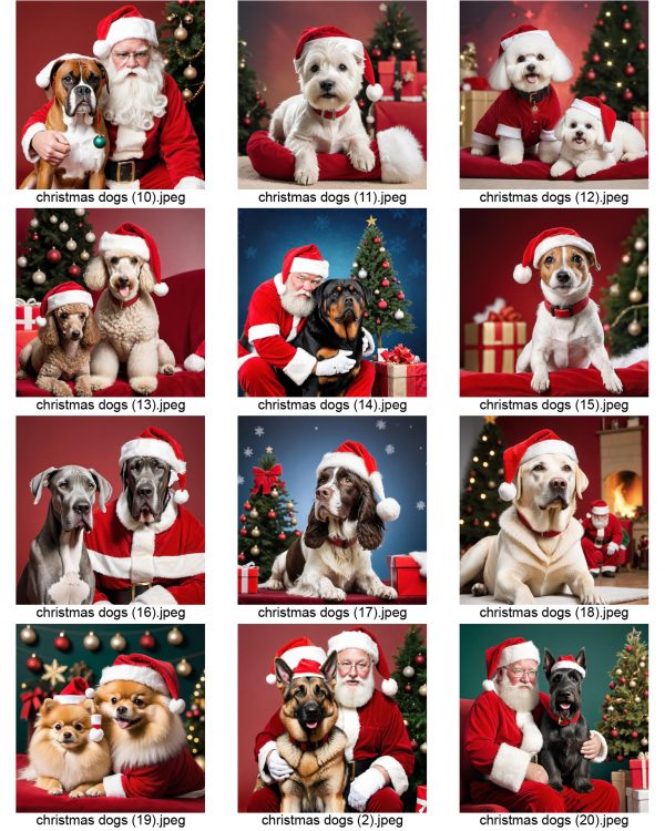 Dogs with Santa