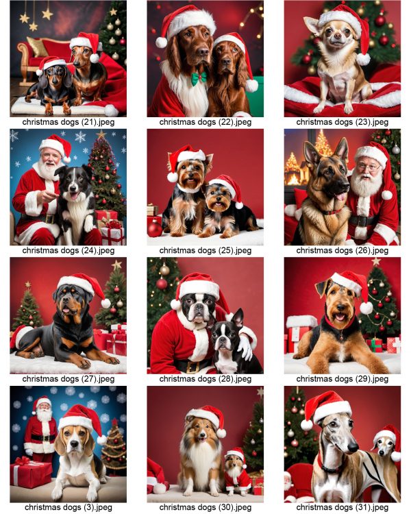 Cute Christmas Dog Images to download for your projects - Image 13